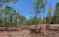Tract 4 Coop Trail, Bismarck, AR 71929