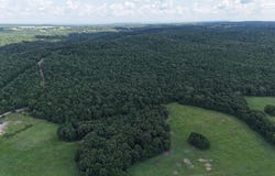 Tbd White Road, Magazine, AR 72943