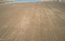 Highway 82, Itta Bena, MS 38941