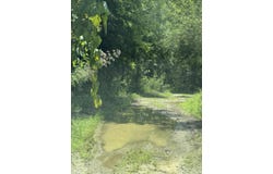 8888 Hales Fork Road, Dewitt, KY 40930