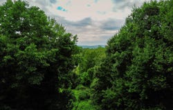 1073 Chapel Road, Bennington, VT 05201