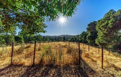 29 Forest Drive, Napa, CA 94558