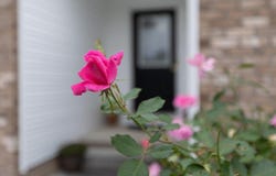 275 WINDERMERE DR, BROADWAY, VA 22815