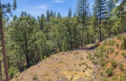 Old Oak Ranch Rd, Sonora, CA 95370