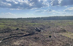 GENTRY RD, Star City, AR 71667