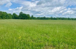 Old Martha Washington Road, Clarkrange, TN 38553