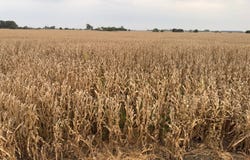 MC Highway 30, Grand Island, NE 68801