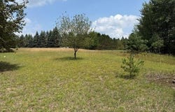 Westchester Drive lot: 101, Gladwin, MI 48624