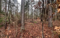156 IRON HORSE Trl lot: 156, Parsons, TN 38363