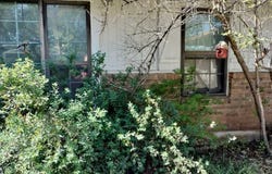 702 Starkey Street, Bangs, TX 76823
