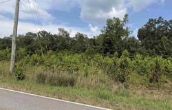 123 County Road 69, Centre, AL 35960