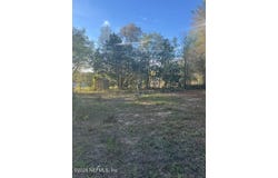 123 ELLEN Avenue, Interlachen, FL 32148