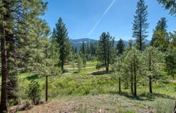 118 Saddle Ridge Road lot: 9, Clio, CA 96106