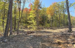 M 209 L 9 Abbott Road, Acton, ME 04001