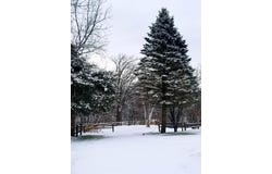 5364 Everson Road, WI 53516-9999