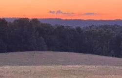 Coonhunters Rd, Golconda, IL 62938