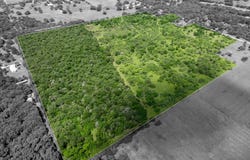HCR 2115, Whitney, TX 76692