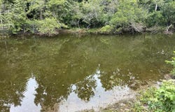 140 Edisto Drive, Santee, SC 29142