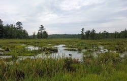 Old State Road, Lisbon, NY 13658