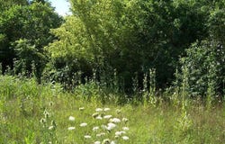0008 LONG RUN Road, Mill Hall, PA 17751