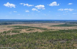 Highway 121, Glennville, GA 30427