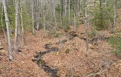 78 Hopper Road, Milton, NH 03851