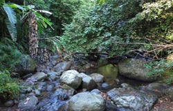 CAM. LA VEGA, OROCOVIS, 00720