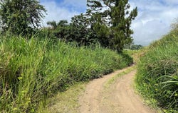 Km 0.2 Int Bo. Helechal PR 152, BARRANQUITAS, 00794