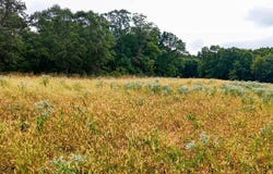 16421 Highway 129, Unionville, MO 63565