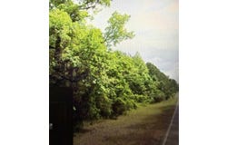 0 Hwy 8, Lena, LA 71447