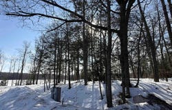 44870 County Hwy D, Cable, WI 54821-1111
