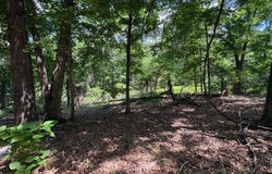 16 ROLLING ACRES Drive, OLD FIELDS, WV 26845