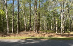 Island Drive lot: 2, Chocowinity, NC 27817