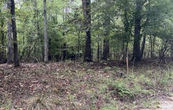 Vinson Road, Tignall, GA 30668