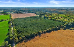 MERRYLAND DRIVE lot: 1, Custer, WI 54423