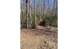 Cliff Park Rd, Monterey, TN 38574
