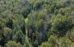 1746 SZ Road, Arnold, MI 49819