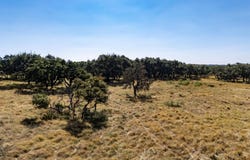 Legacy Oaks Dr, Harper, TX 78631