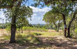 5385 Ranch Road 165, Blanco, TX 78606