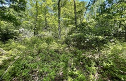 Aspen Ct 808, Cresco, PA 18326