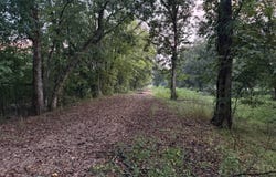 Highway 65 lot: 4, Tallulah, LA 71282