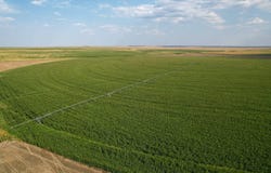CO RD, Wallace, KS 67761
