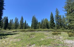 2-E-15 Snowline Cir, McCloud, CA 96057