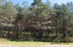 451 KLEEHAMMER CLUB DRIVE, KALKASKA, MI 49646
