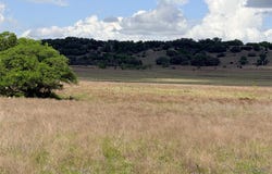 221A CR 250, Star, TX 76880