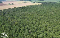 W Highway 4, Century, FL 32535