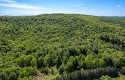 154 Walker Rd, Nineveh, NY 13813