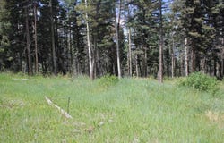 Elk Horn lot: 83, Black Lake, NM 87710
