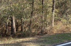 Jacob Main St., Cottondale, FL 32431