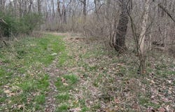 0 Wayne Lane, Thurman, OH 45685